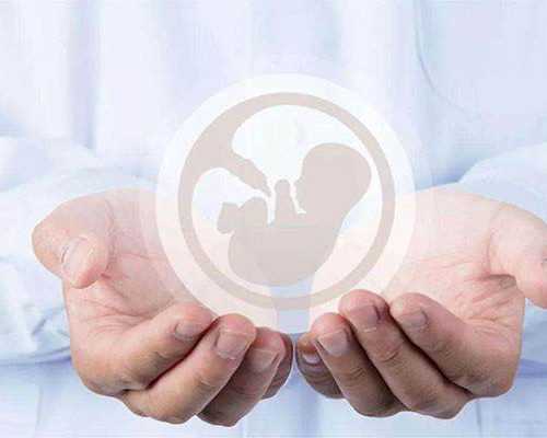 古玩交流会时间表_方寸间，“百龙”腾飞