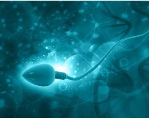 兰州古玩交易市场在哪里_美味绝伦的自制蒜蓉辣椒酱