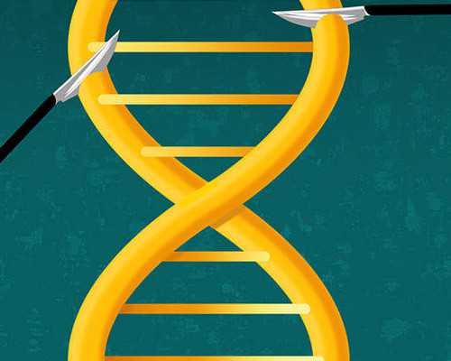 香港验血孕7周怎么算_香港验血的报告单图片_千万别错过的最全性别鉴定攻略