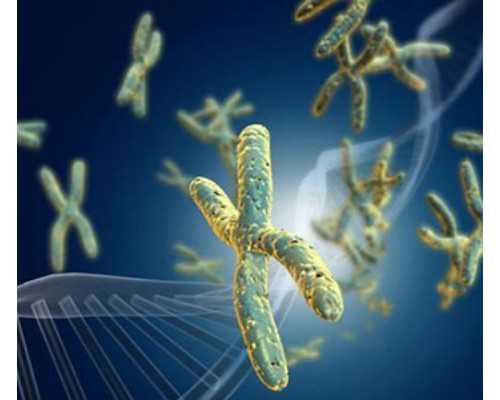 B超和香港验血那个准_香港医院验血查男女_香港验血需要几天时间