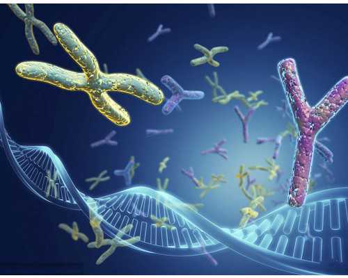 孕50天香港验血_去香港验血查男女要多少钱,进来看看就知道了