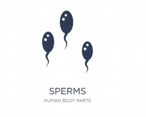 怀孕七周胚芽7 到香港验血能准吗_香港验血15个D准不准,你想知道的流程都在这