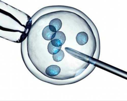 香港验血寄哪个快递_香港怀孕几就能验血查男女,胎儿性别真的会翻盘吗