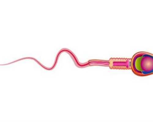 古玩在线拍卖网_千年前的“海上丝路”：“黑石号”文物纽约展出