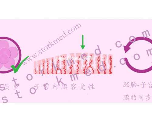 39岁做试管婴儿有希望吗试管婴儿助力生育梦想！~代生正规机构