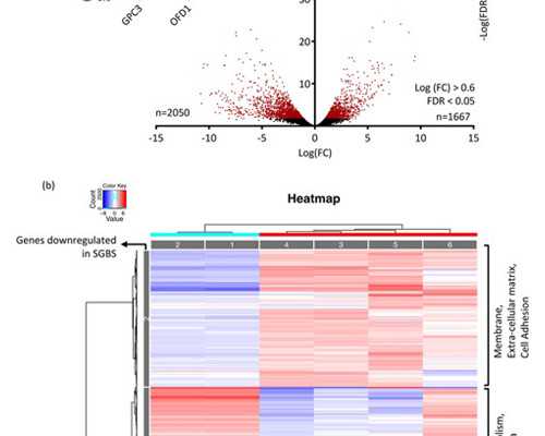 中国古董古玩交易公司_“年中三元”的张大千