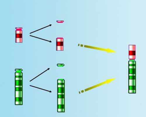 怀孕多少周香港验血_香港验血做性别哪家最权威_你真的知道吗?