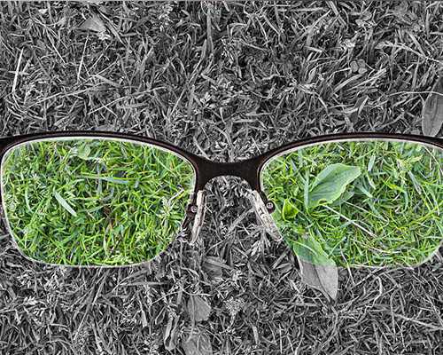 古玩买卖都在什么网站_书画市场:从礼品市场转向收藏市场