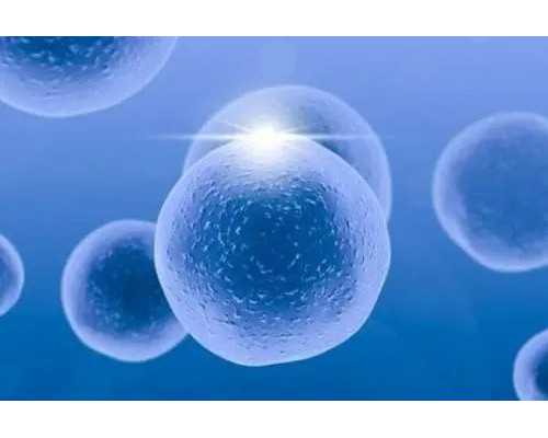 专业古玩鉴定机构_如何在不懂古玩的情况下买到真货