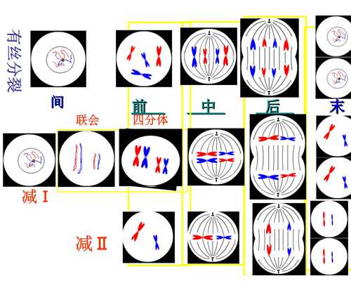试管婴儿第一次失败了~代怀公司服务