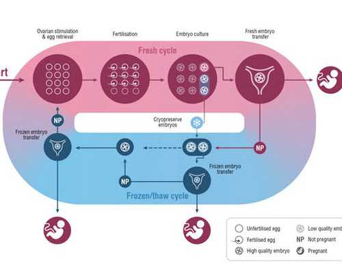 香港有哪些注册过的验血机构_去香港验血查胎儿性别犯法吗_验血是什么原理原
