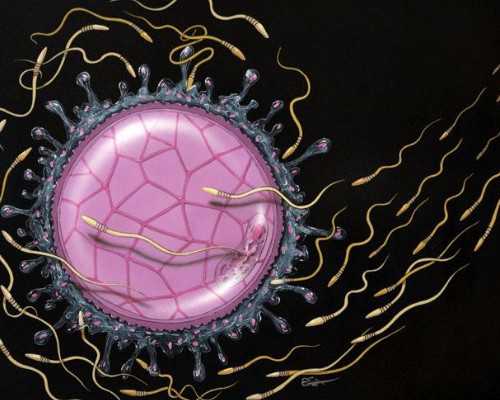 香港私家诊所 验血_怀孕9周能香港验血吗_验血查男女哪个机构最好!