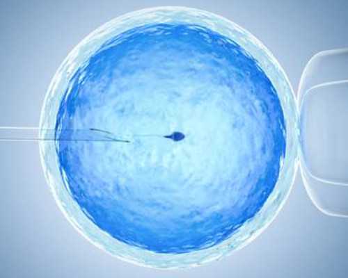 香港潘锡昌医生验血_以滋味为话题的作文 800字以滋味为话题的作文