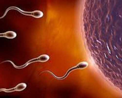 红斑狼疮患者试管婴儿风险高吗？红斑狼疮患者试管婴儿医生会如何处理？