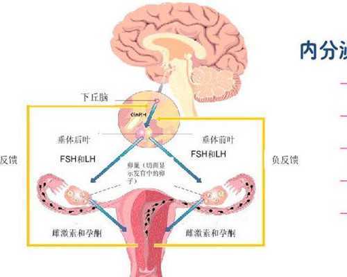 香港验血男女需要满足什么条件_香港验血男可能翻盘吗_抽血验孕原理!