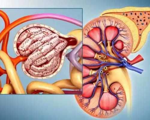 香港验血验出y就百分百是男孩吗_中学生周记300字左右要5篇周记300字大全