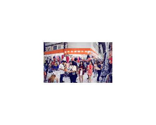 古玩鉴定品牌_严歌苓：我可以写电视剧本 不要找人去改我的长