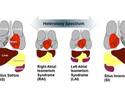 香港胎儿验血的价钱_香港验血机构哪个最好_真的有科学依据吗