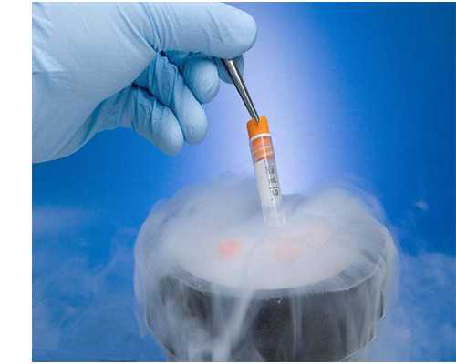 香港验血鉴定女孩 出生后是男孩_厦门香港验血查胎儿性别准吗_鉴定性别的真实