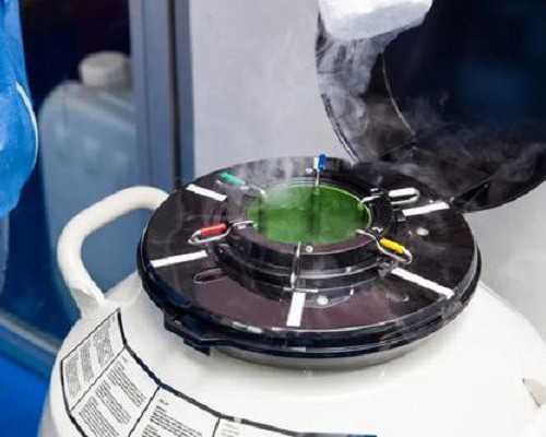 内地中介香港验血可靠_香港验血不相信结果_准确率超级高!