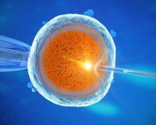 古玩古董收藏银元_山君迎新 徐戎书法作品新年首展在杭举行