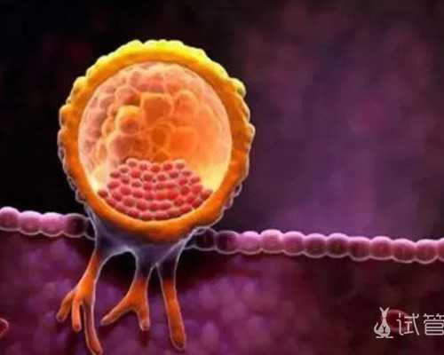 香港验血寄男人的血可以验出来吗_香港染色体查男女准不准_验血查性别要到哪