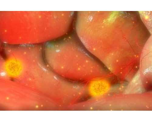 武汉邮寄香港验血_去香港验血看男女提前几天_检测性别需要带些什么资料!