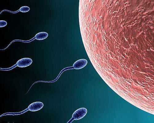 香港化验血和B超哪个准_香港验血准吗?实例分享!看完你还做吗?