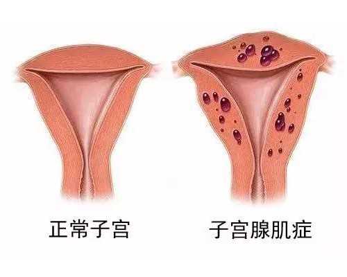 成都古玩拍卖公司正规吗_碧玺究竟为何如此昂贵？