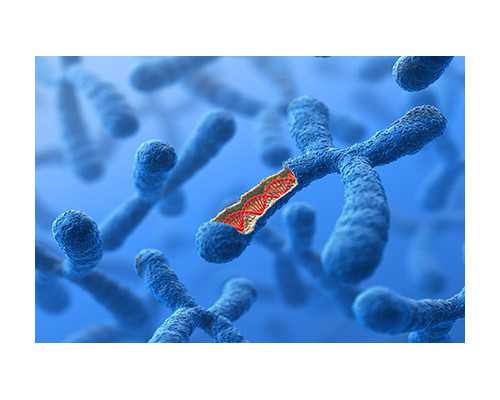 香港验血性别要多少钱_香港验血测男女要空腹的吗,验血准确率有多高