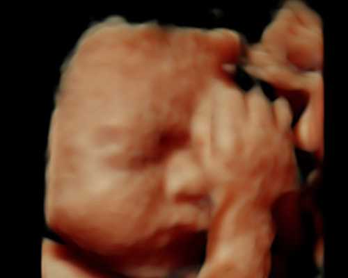 yy4090古玩虫电视剧_“永远的平山团 永远的子弟兵”摄影作品暨实物展在石家庄