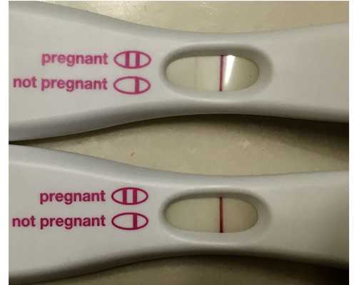 古玩虫电视剧第一季_2015春拍书画重回亿元时代