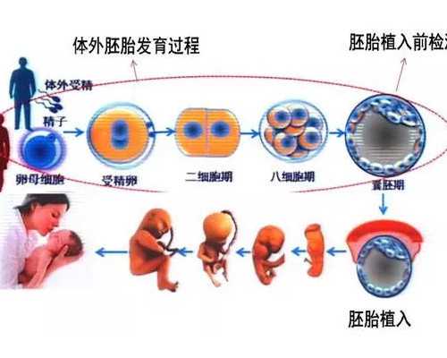 香港验血直通车的国内电话_深圳到香港验血测男女几天出结果_怎么选择权威的