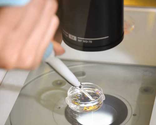 滕州古玩市场有几个_“石膏像：视觉经验与文化身份背景下的中国现代性”当