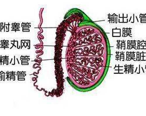 南京古玩鉴定机构电话_以专驭通 艺文相融:《周亮工年谱长编》与朱天曙教授