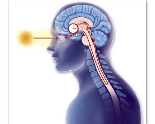 验血查男女香港哪家医院做_香港化验血能查男女准吗宝宝树_验血查男女有科学