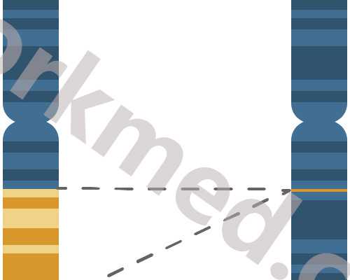 疑似生化后怀孕 香港验血_香港验血抽血要空腹吗,有Y染色体生女孩怎么回事