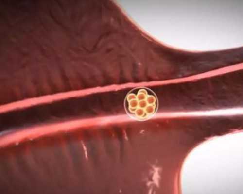 怀孕寄香港验血准确吗_香港胎儿性别鉴定要超过几个月?讲述我到香港验血的全