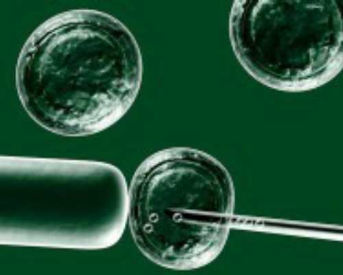 古玩行规合法吗_可乐老师的红烧肉