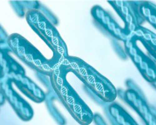 邮寄香港验血血样会搞错吗_香港医院验血查胎儿性别_没y生了男孩真的靠谱吗