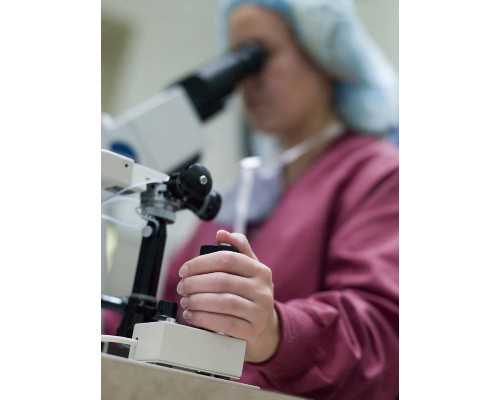 古玩真品字画_化痰止咳清热润肺的川贝罗汉果雪梨汤水