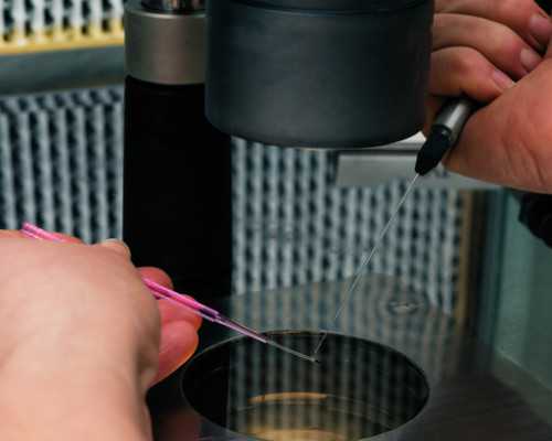 古玩大亨薛晨txt_让你不再为怎么减肥而纠结