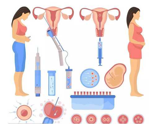 香港验血性别要几周_香港验血血样Y浓度低复查_验男女哪家医院最正规