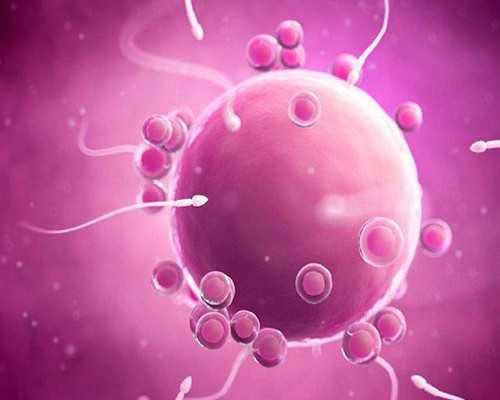 香港验血验男女要多少周啊_怀孕初期香港验男女_DNA查男女真的准吗!