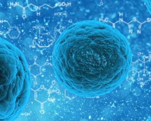 香港验血有不准备吗_香港孕妇验血可以验出男女吗_验血查性别会翻盘吗!