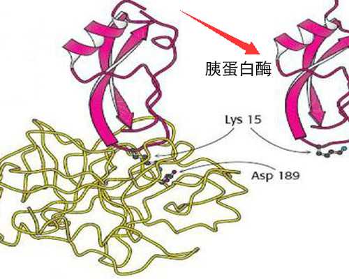 香港验血鉴定多少钱_香港验血报告正本寄回来了准不准_验血查性别哪个验机构
