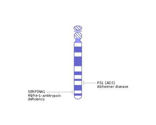 香港验血中介预约靠谱吗_香港权威验血机构有哪些准不准_验血的准确率高吗
