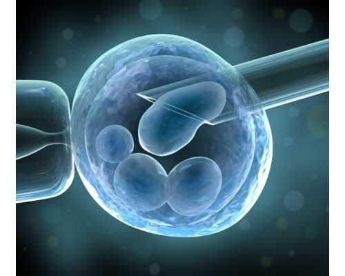 香港正规医院验血男女有翻盘吗_香港验血查男女有哪几大机构_测胎儿性别机构