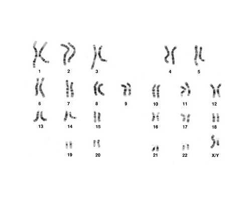 香港私人诊所验血贵吗_香港验血得出结论原因_你想知道的流程都在这!