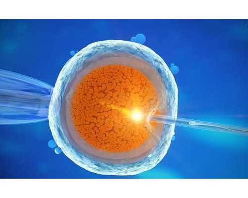 香港屯门验血医院_香港验血鉴定男女要多长时间_验血是男孩会翻盘吗!